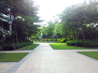 塘廈旅游區景觀工程監理價格對比 佛嶺景觀與園林景觀工程的綜合評估